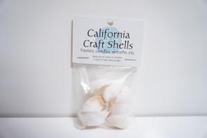 1/2 Inch White Small Sea Shells 1.3 oz. Bag