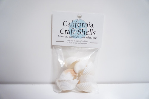 1/2 Inch White Small Sea Shells 1.3 oz. Bag