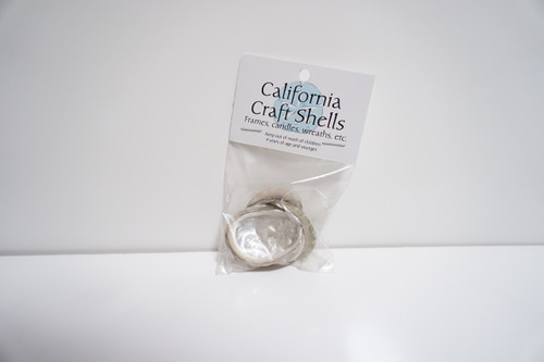 4 Pack Green Sea Shells 1/2 oz. Bag 