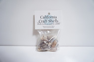 Sea Shell Pack 1.3 oz. Bag