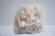 Assorted Sea Shell Pack (2 Pound Bag)