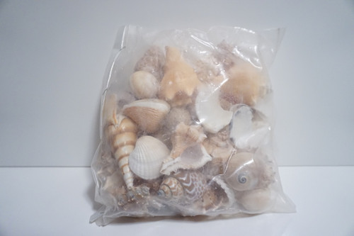Assorted Sea Shell Pack (2 Pound Bag)