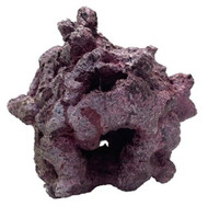 Tropic Eden Morroca Reef Cradle Rock - Medium ONE Piece (4.4 - 5.65 lbs)