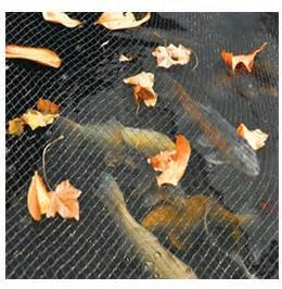 Koi/Shark Pond Cover Net 118" X 79" + 10 Pegs