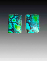 Vintage Echo of the Dreamer Turquoise SS Clip Earrings