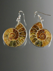 natural ammonite dangle earrings with sterling silver earwires