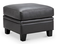 Boulder Heights Ottoman FREE SHIPPING