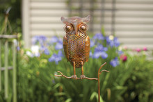 Owl Flamed Copper Staked