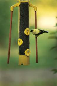 18 inch Finch Feeder with Dowels (Yellow)