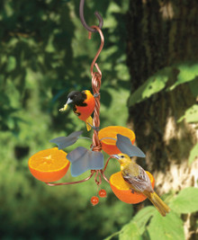 Copper Oriole Triple Fruit Feeder with Ivy