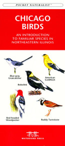 Chicago Birds