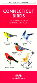 Connecticut Birds