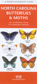 North Carolina Butterflies and Moths