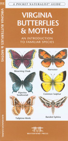 Virginia Butterflies and Moths