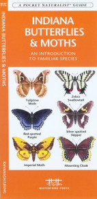 Indiana Butterflies and Moths