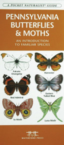 Pennsylvania Butterflies and Moths
