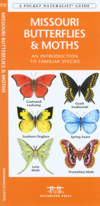 Missouri Butterflies and Moths