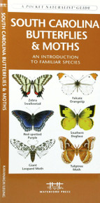 South Carolina Butterflies and Moths