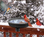 Heated bird bath with 3 mounting options: deck mount, clamp mount and ground