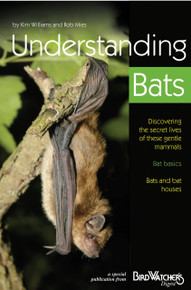 Understanding Bats