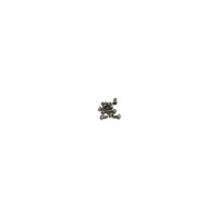 XAG P150 Max RevoSling Cross Round Head Flat Foot Self Tapping Screw (02-004-00371)
