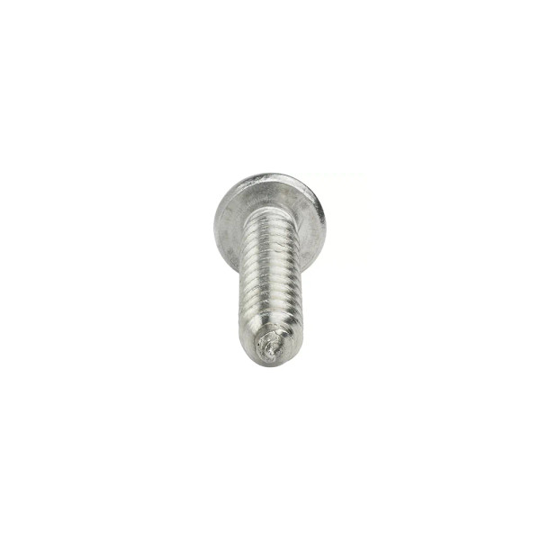 P100P ST4.2*14 Tapping Screw (02-004-00891)