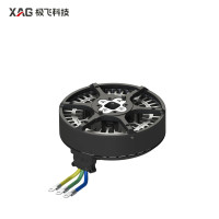 XAG P150 Motor (05-002-020940)