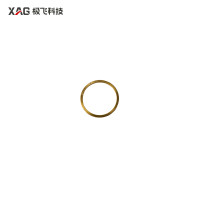 XAG P150 Motor Gasket (02-002-13891)
