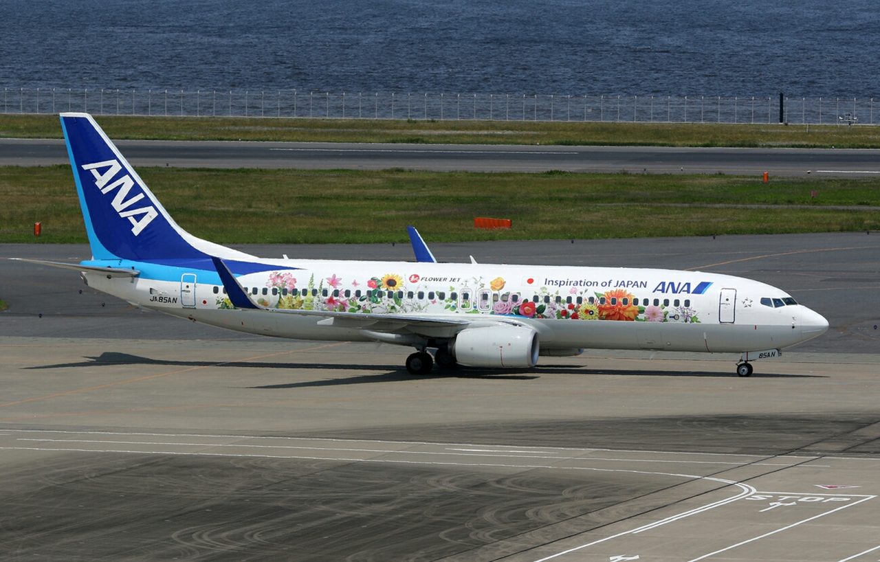 Phoenix Ana All Nippon Boeing 737 800 Flower Jet Ja85an 1 400