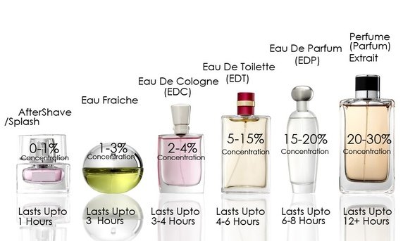 spurv Shuraba Modsige The Difference between Perfumes, Colognes and More - Zenza Beauty
