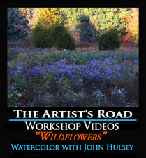 Wildflowers Watercolor Workshop with John Hulsey Zoom Recording