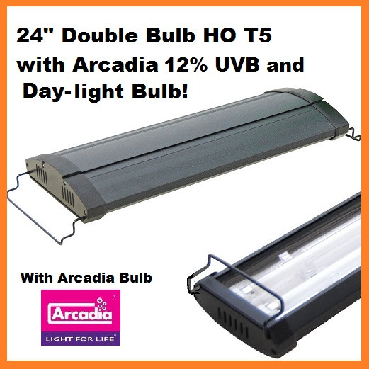 24 Ho T5 Double Bulb Fixture With Arcadia 12 And 6 5k Day Light Bulbs Included