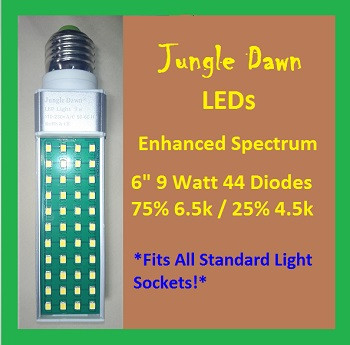 Jungle | Dawn | LED | 6 | Inch | 9 | Watt