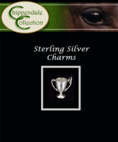 Sterling Silver Charm -Trophy