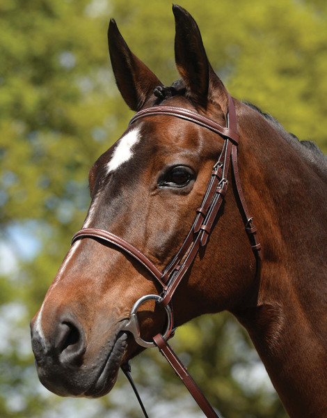 Hy High-quality leather Coupling equestrian pony horse riding pelham bridle Hy High-quality leather Coupling equestrian pony horse riding pelham bridle
