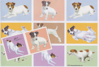 Jack Russell Gift Wrap with Tags