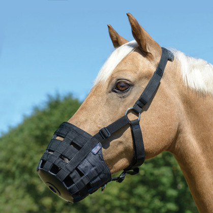 TO CLEAR COB OR FULL SIZE ***SALE*** SHIRES GRAZING MUZZLE 