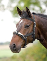 Cob or Horse Black Shires Fleece Lined Training Surcingle Size: Pony 