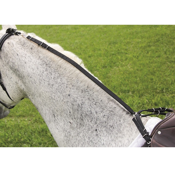 Shires Nylon Daisy Rein