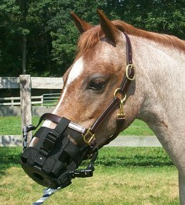 Foal/Mini Muzzle Black 13" 