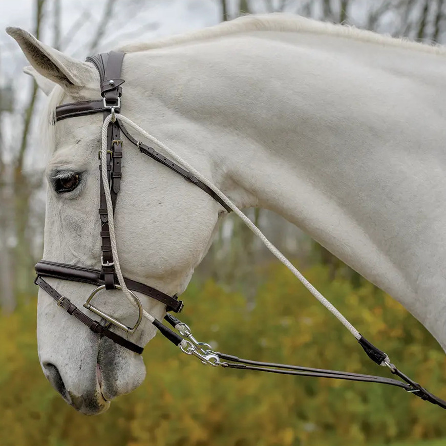 Photo libre de droit de Pâturage De Poney Dans La Nouvelle Forêt banque
