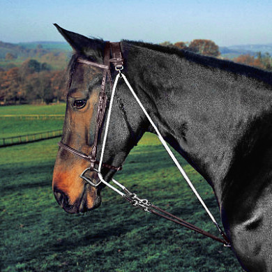 Shires Aiuto Per Allenamento Pony In Nylon &ndash; Harbridge Per Cavallo O Pony