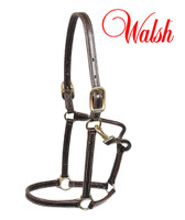 Walsh Showman Leather Halter with Fixed Nose, Havana