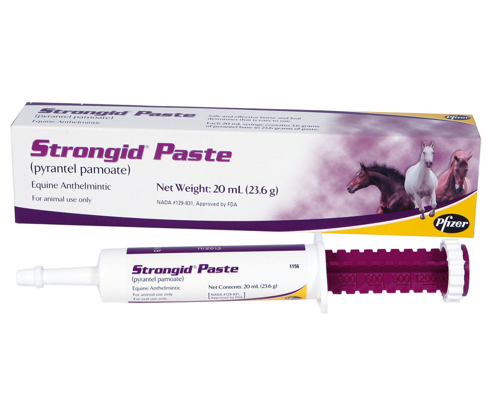 Pfizer Strongid Dewormer Paste for Horses 23 6gm for sale online 