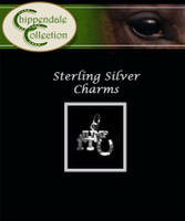 Sterling Silver Charm - Jump It