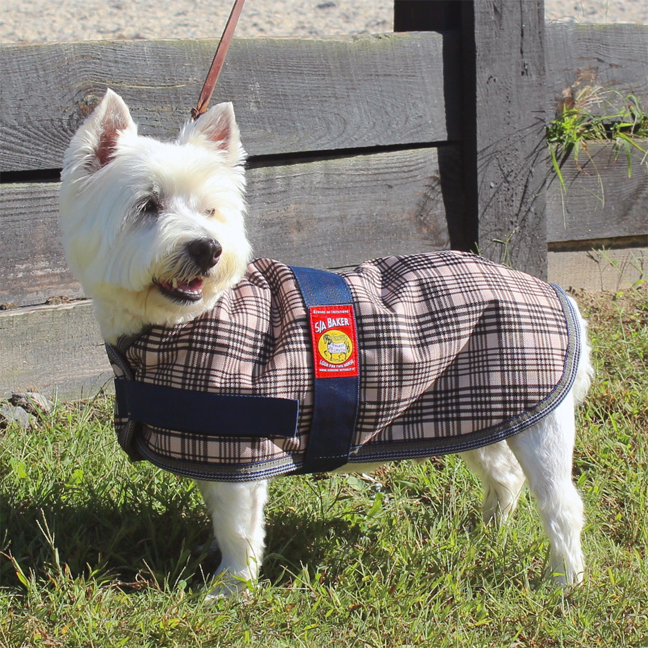 Baker Waterproof Dog Blanket
