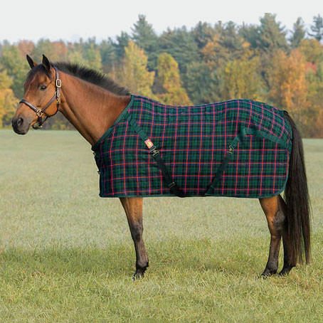 Blanket tartan new arrivals