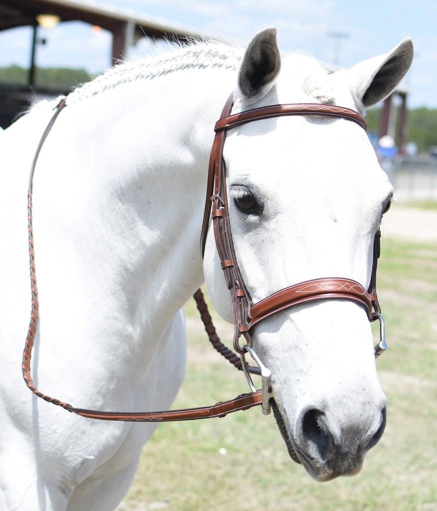 English Show All Purpose Bridle Reins HoRsE COb PoNy MiNi BLACK Fancy Brow SALE!
