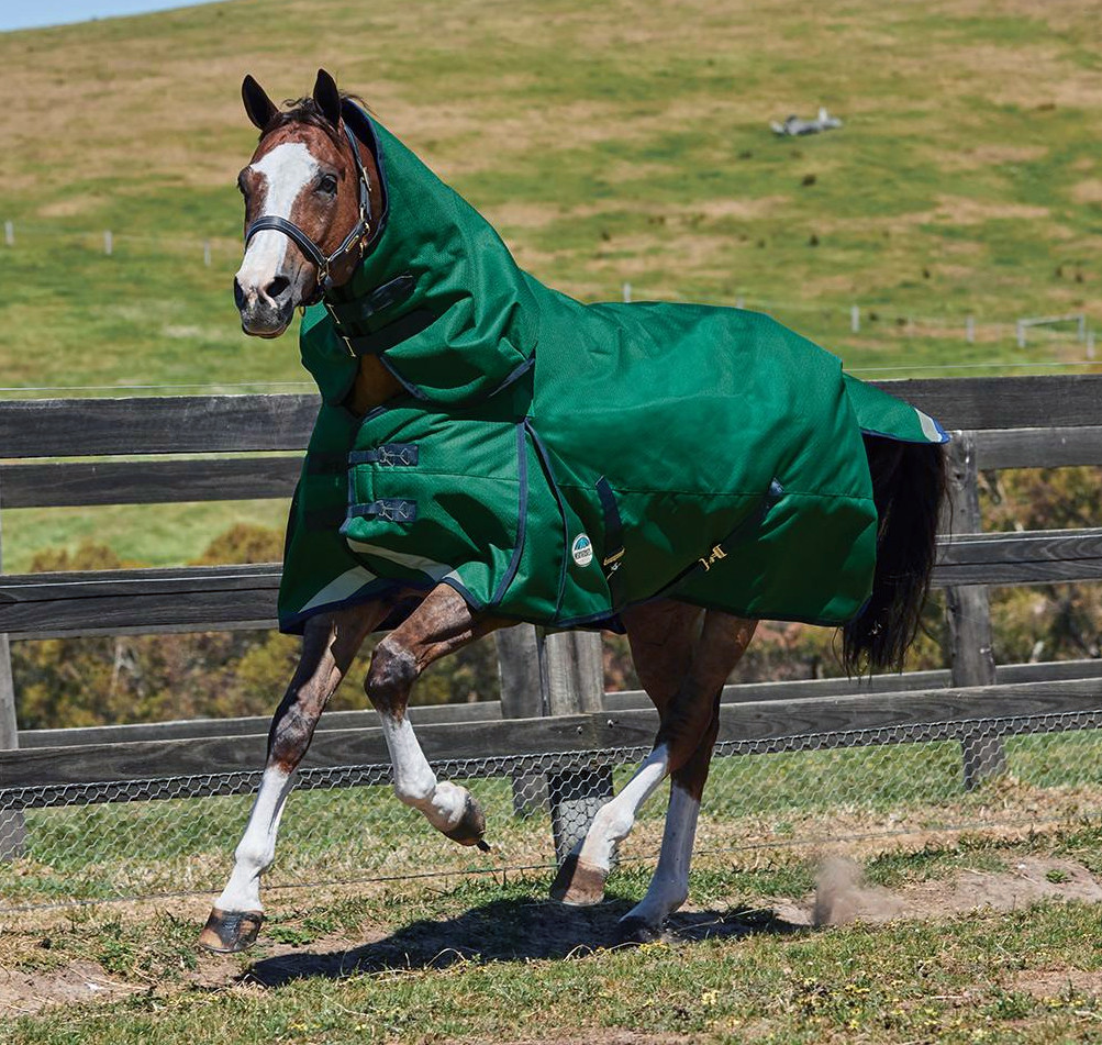 Medium Weatherbeeta Comfitec Premier Trio Detach-a-Neck Horses /& Ponies