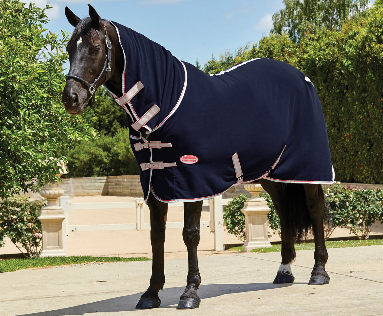 Waffle Weave Super Cooler Rug-For Horses and Ponies-Navy with red-6/'0-BN